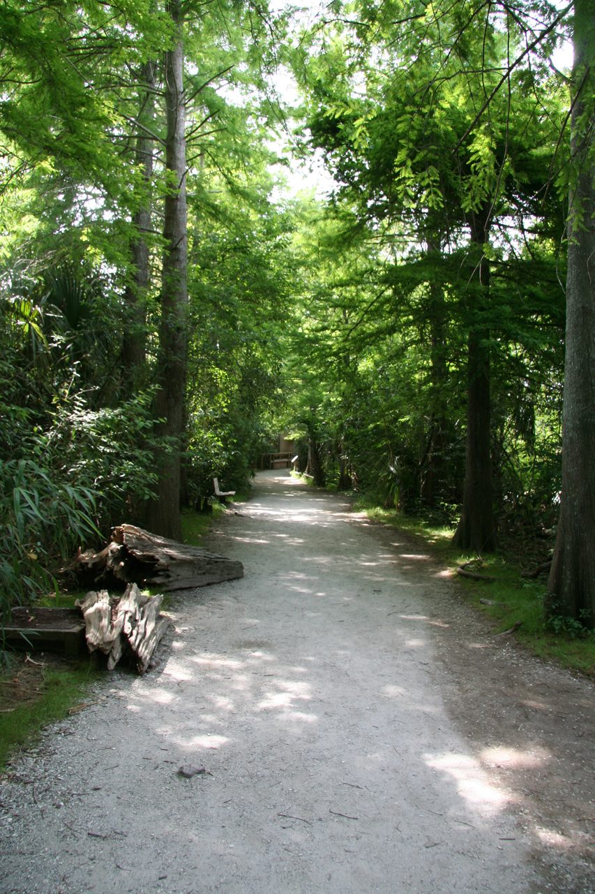 Schattiger Rundweg am Ausgang des Louisiana Swamps / Shaded pathway at the exit of the Louisiana Swamp